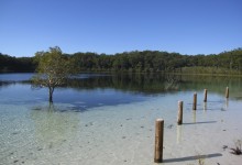 Fraser Island