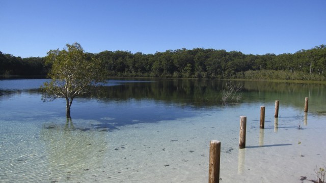 Fraser Island